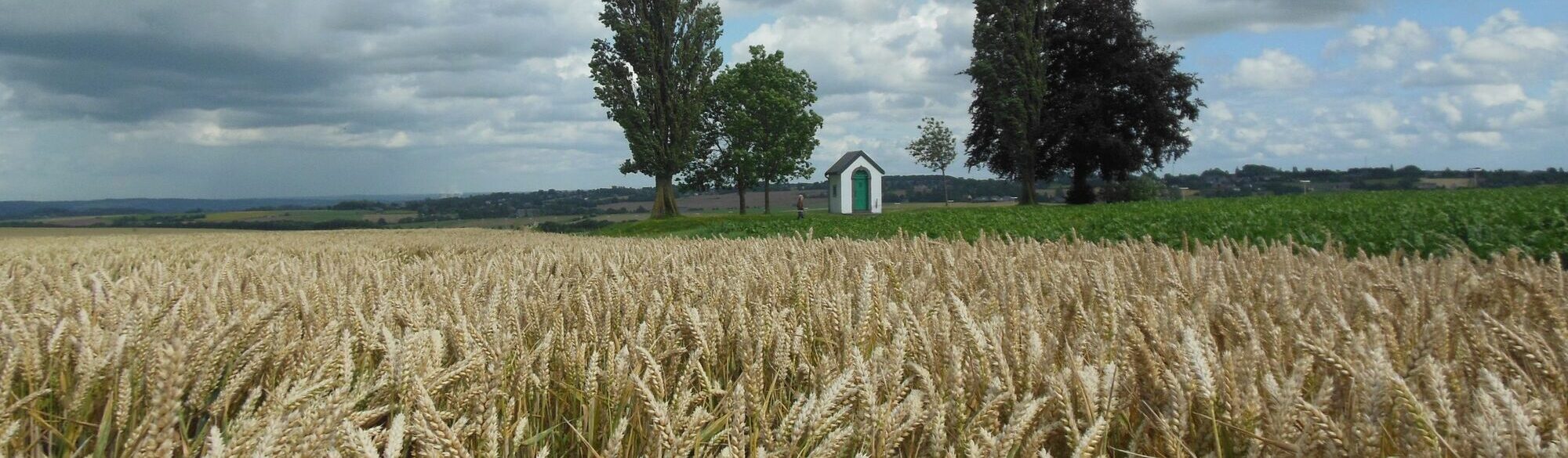 Chapelle Saint-Donat dans les champs